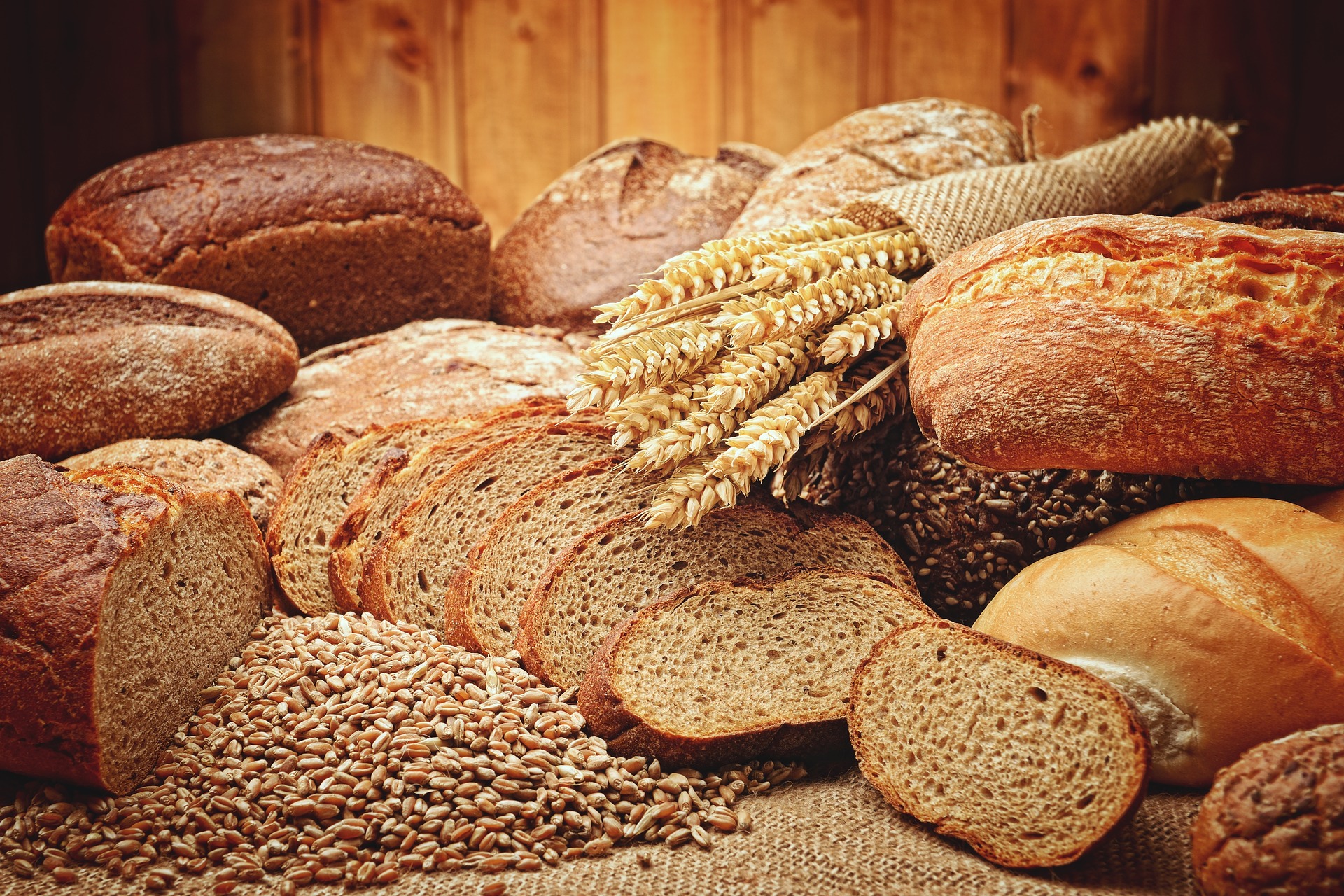 Carb Confusion Part 1: The Role of Carbohydrate in Pet Foods