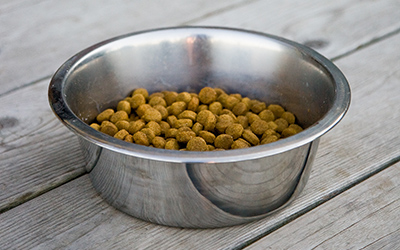 Is it the food? Pet food-associated illness