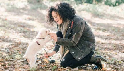 Finding the Right Treats to Train a Puppy Puppy Training Treats