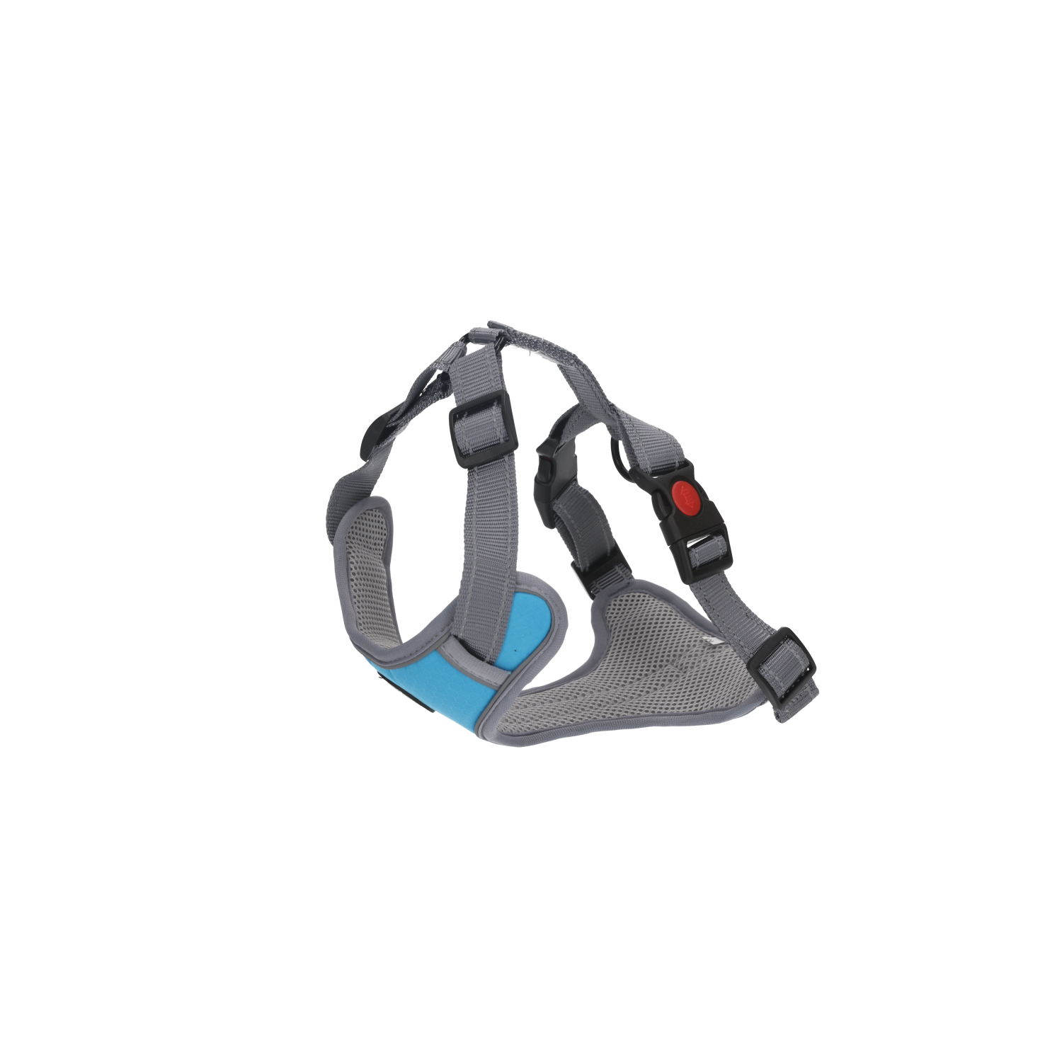 Rufus & Rosie Baby Blue Chest Plate Dog Harness, Extra Large