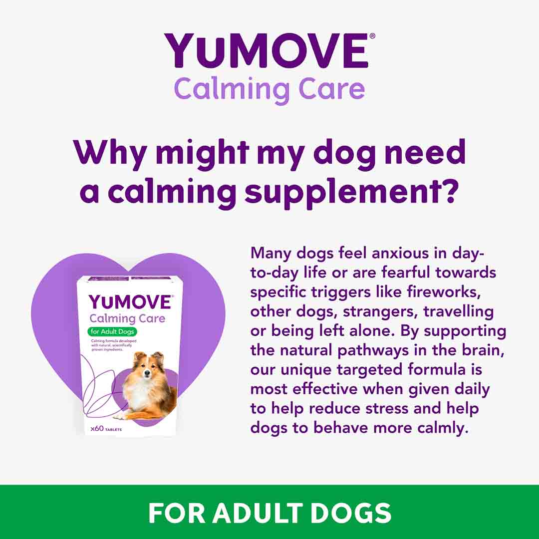 Yumove Calming Care Supplement for Adult Dogs, 60 Tablets