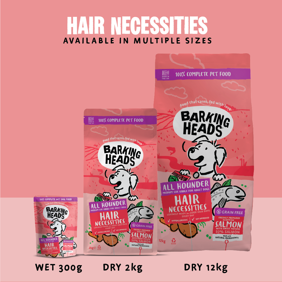 Barking Heads All Hounder Hair Necessities Salmon Dry Dog Food, 12kg