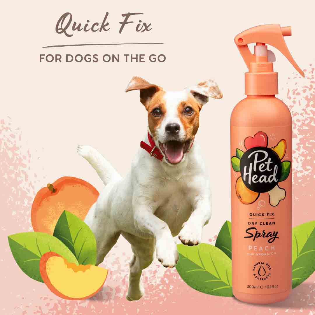 Pet Head Quick Fix Dry Clean Dog Shampoo Spray 300ml