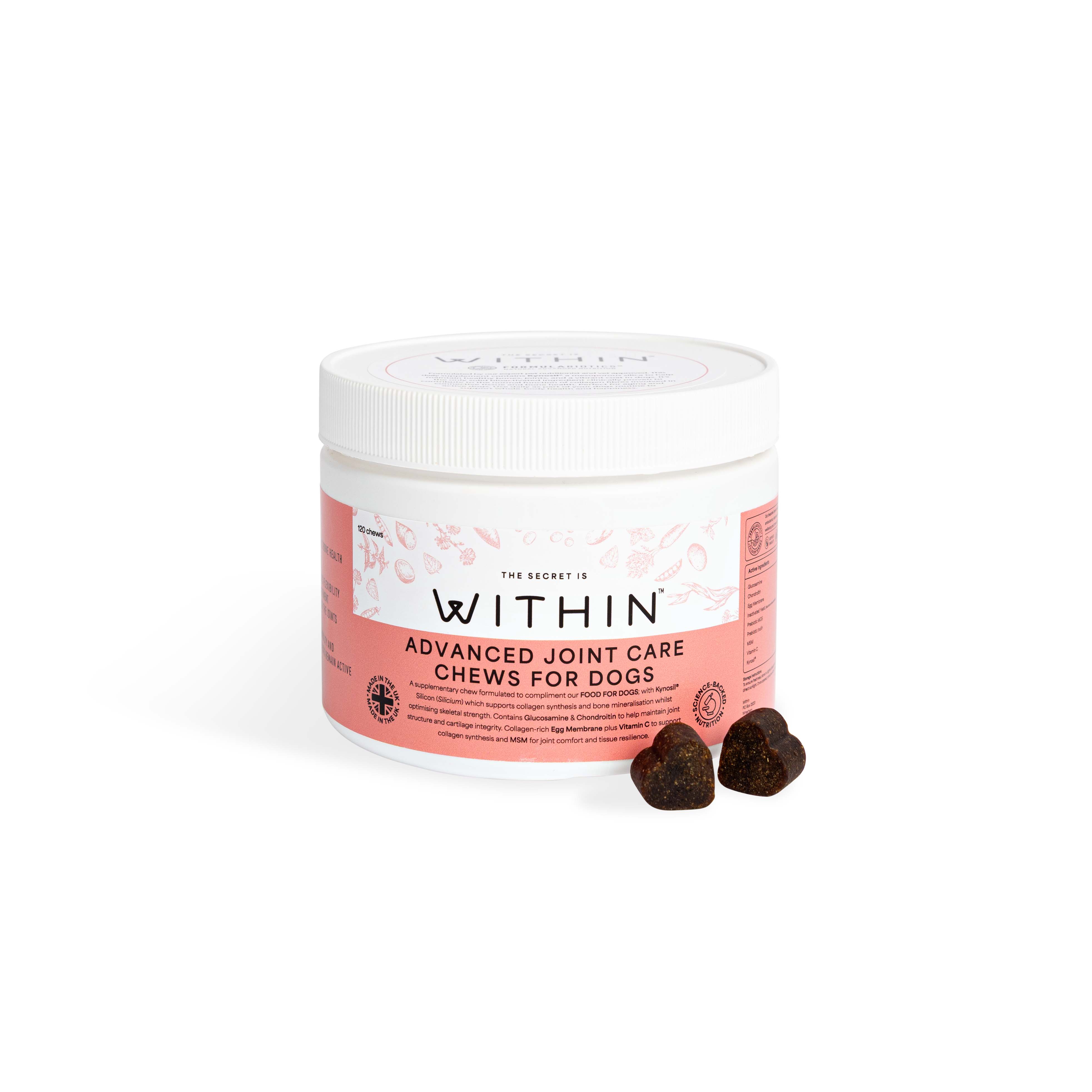 Within Advanced Joint Care Chews for Dogs 120 Chews
