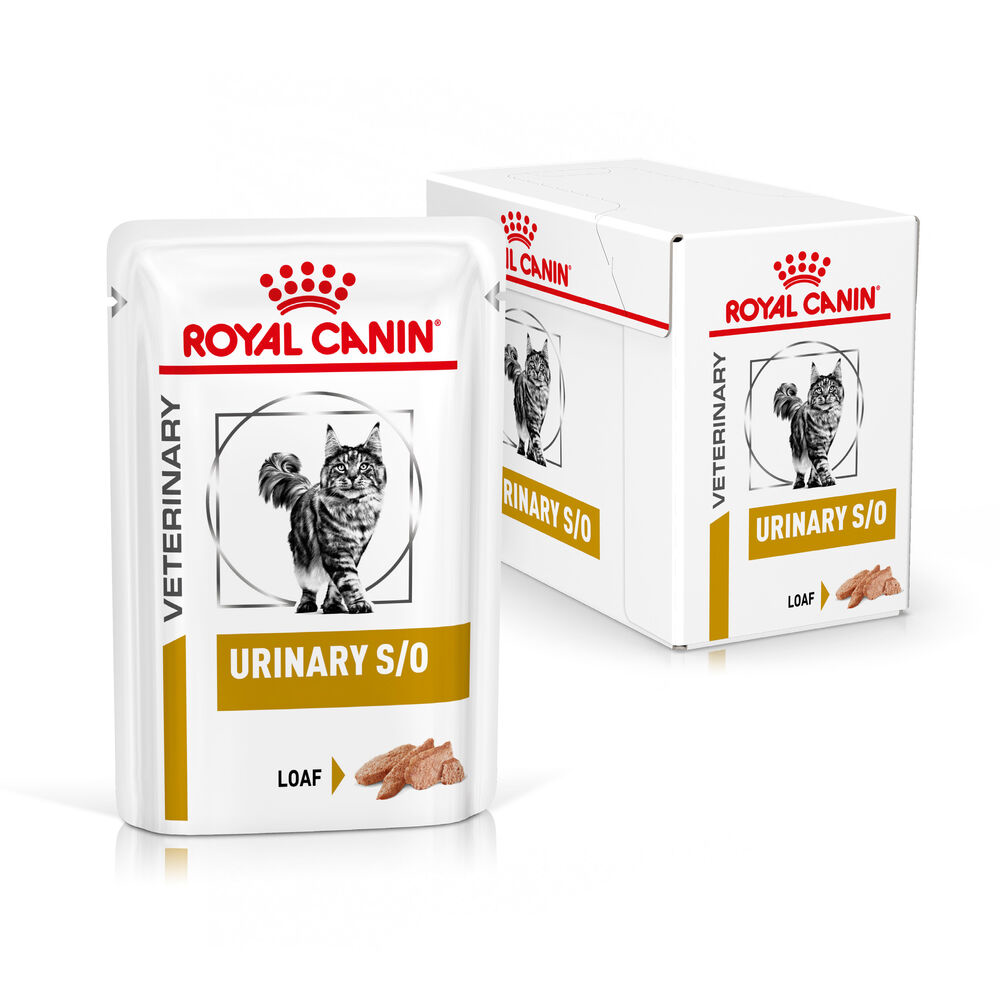 Royal Canin Urinary S/O Adult Wet Cat Food In Loaf 48x85g