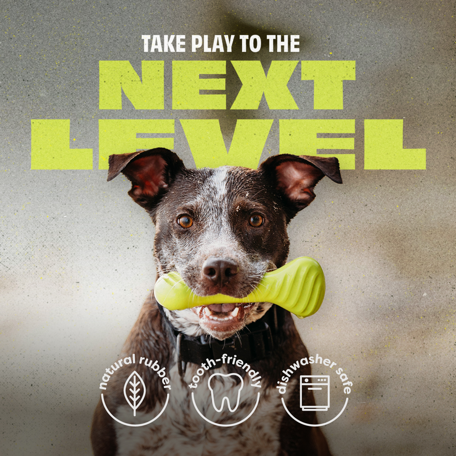 Benebone Rubber Bone Dog Toy