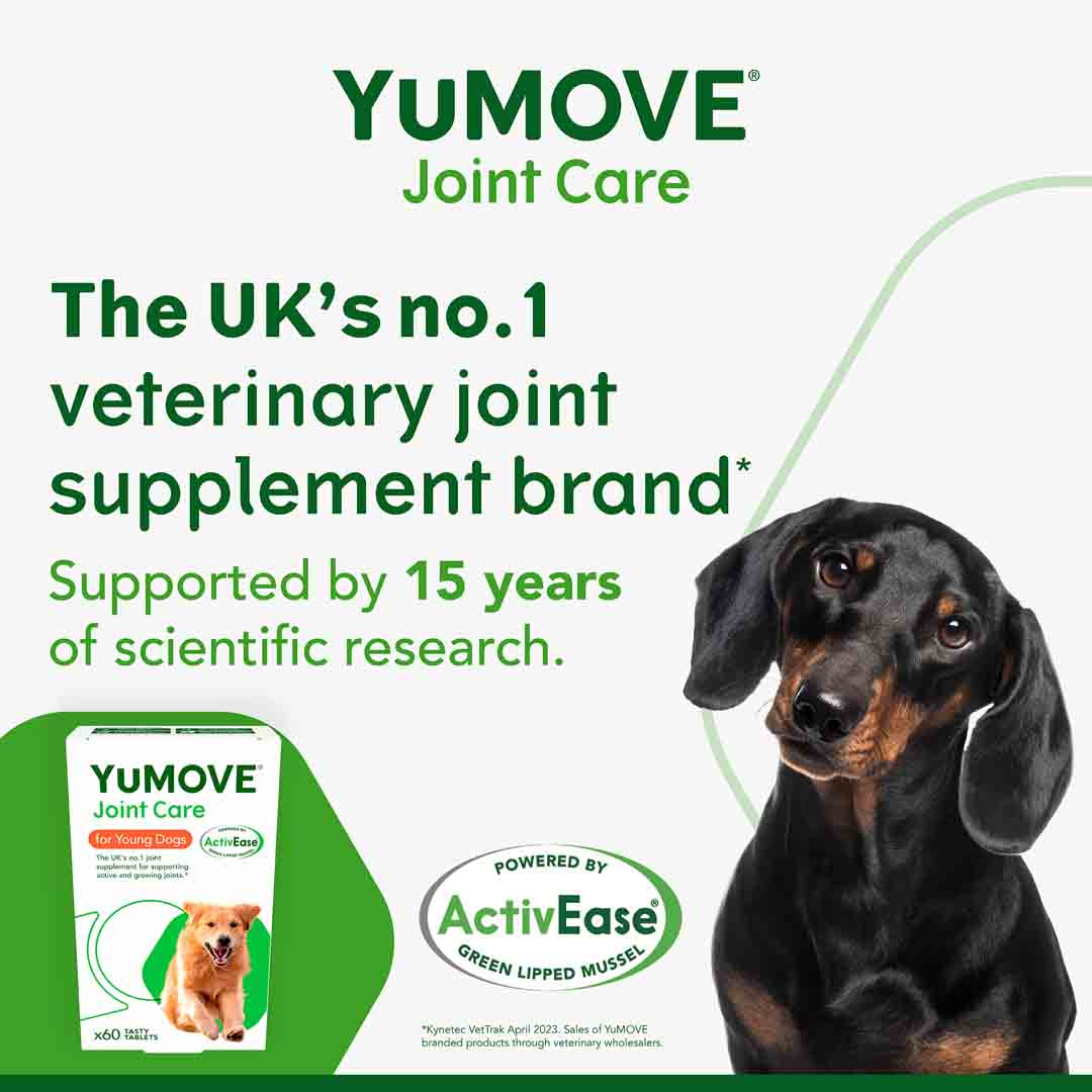 YuMOVE Joint Suppplement for Young and Active Dogs, 60 tablets