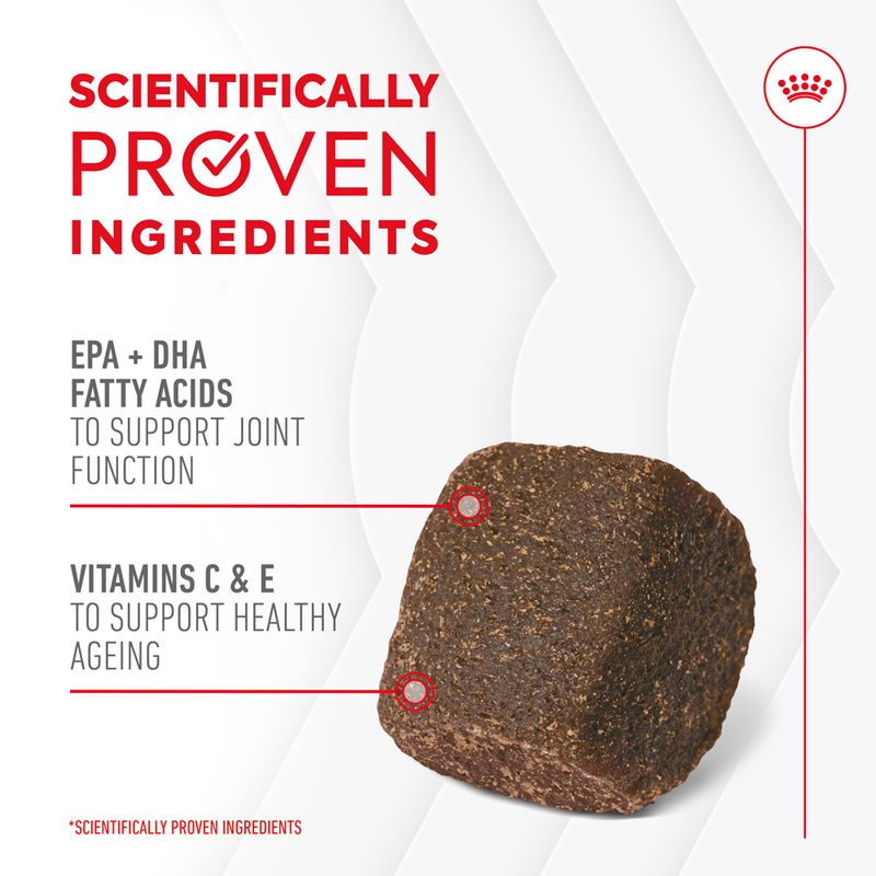 Royal Canin Dog Supplement for Joint & Ageing Soft Chews