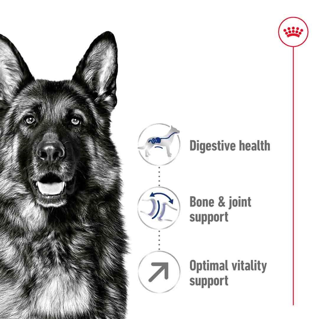 Royal Canin Maxi Adult 5+ 4kg