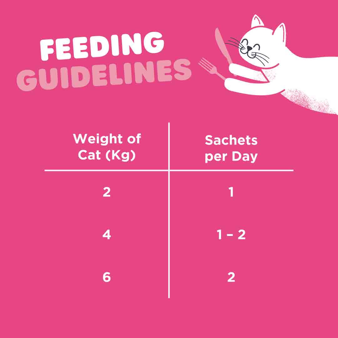Webbox Cats Delight Lick-E-Lix with Salmon, Cat Treats, 5 Pack