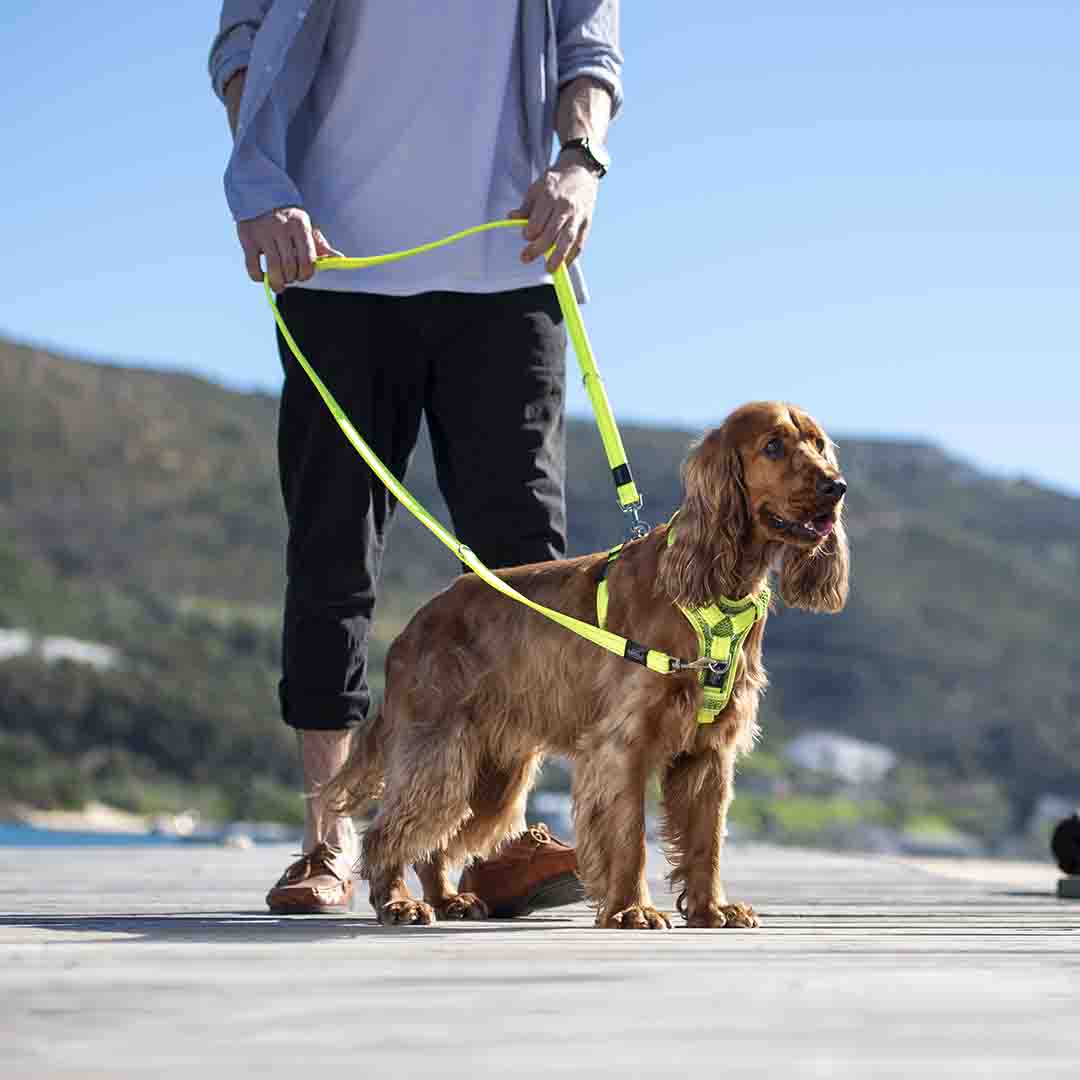 Rogz Utility Control Black Dog Harness, Extra Large