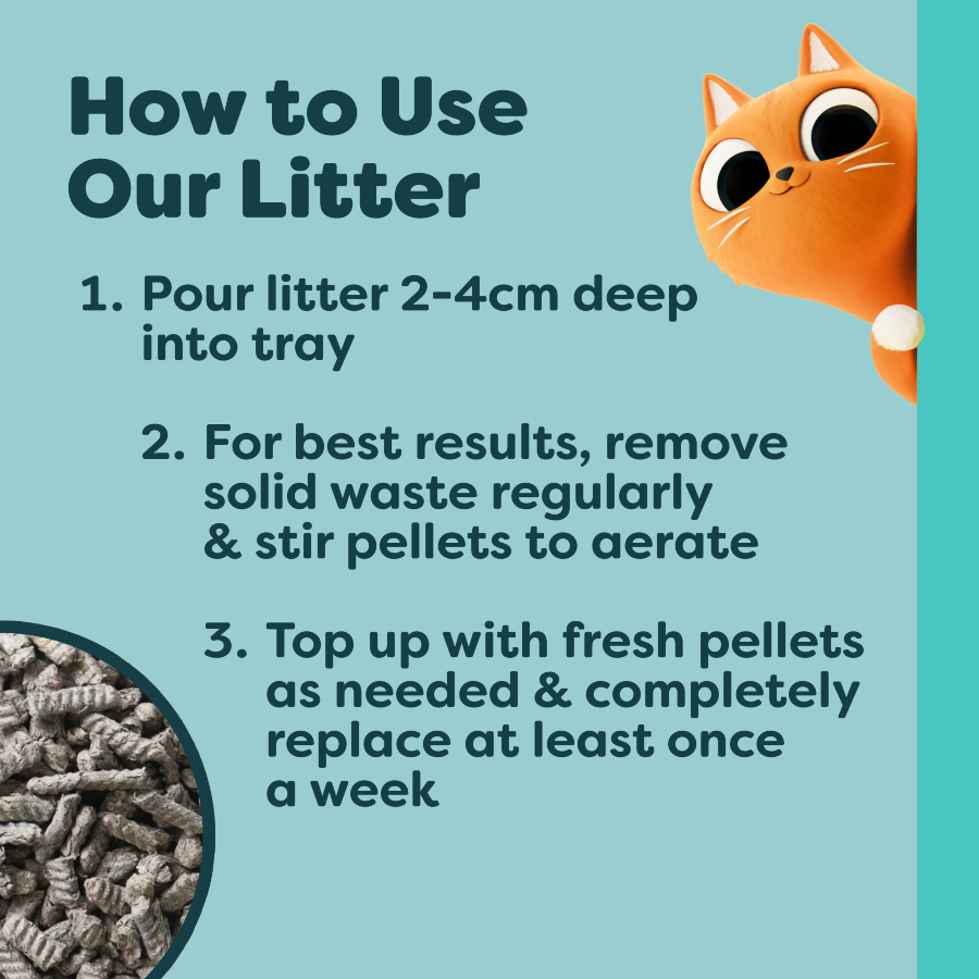 Breeder’s Choice Cat Litter 10L