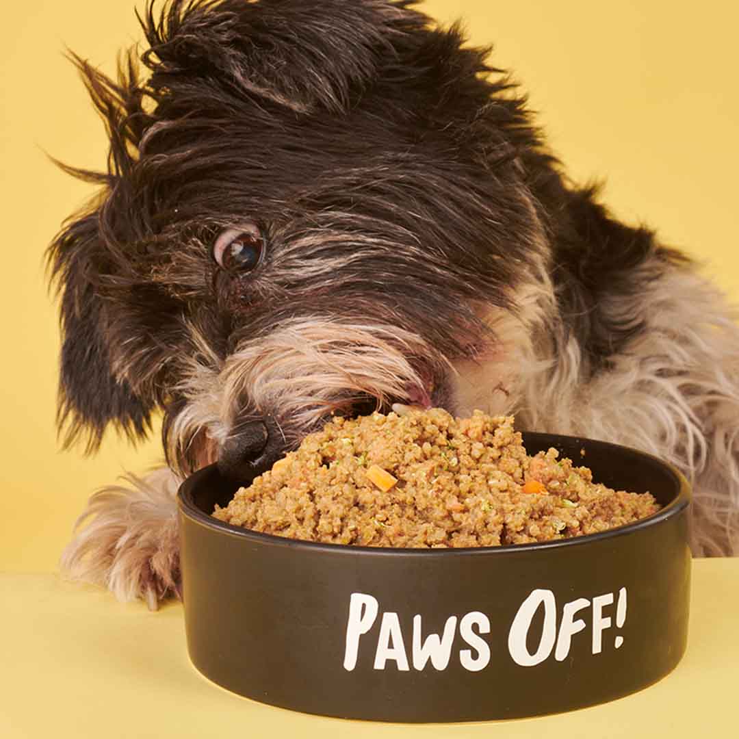 Tuggs Cod Crew Complete Frozen Fresh Dog Food 300g