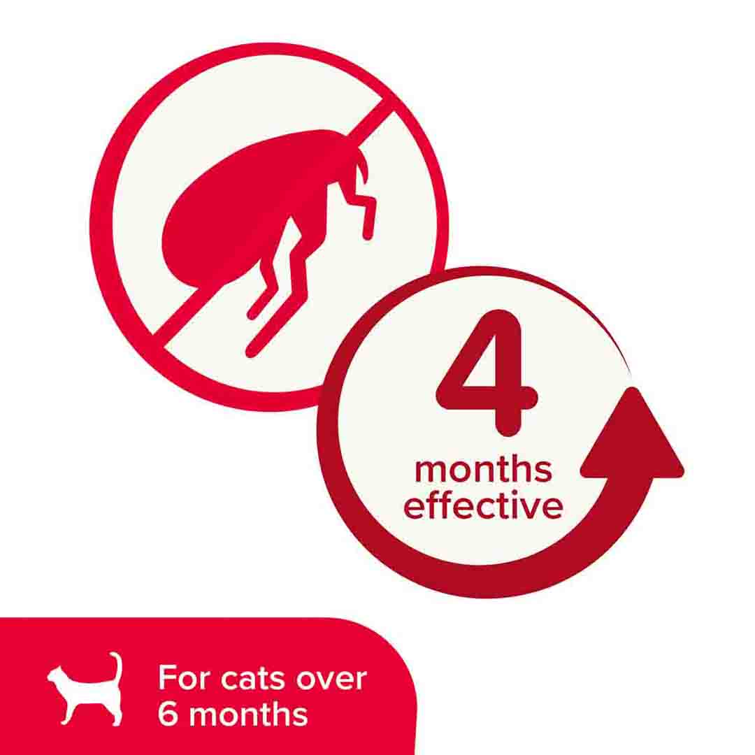 Beaphar Plastic Cat Flea Collar