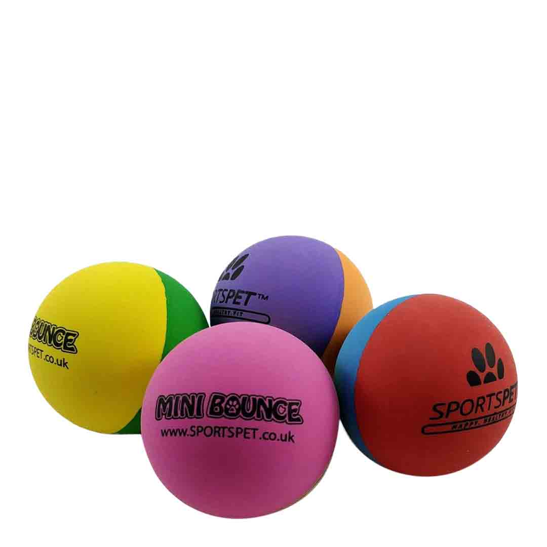 SportsPet High Bounce Mini Ball 