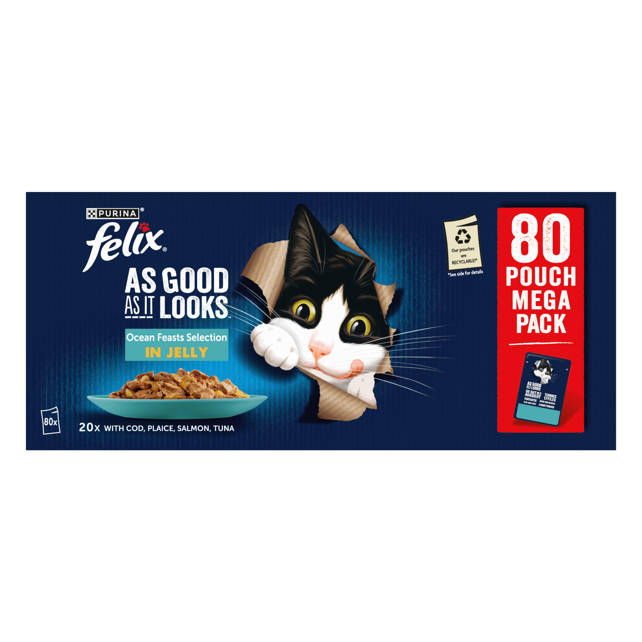 Agail Ocean Feasts Wet Cat  80X85G