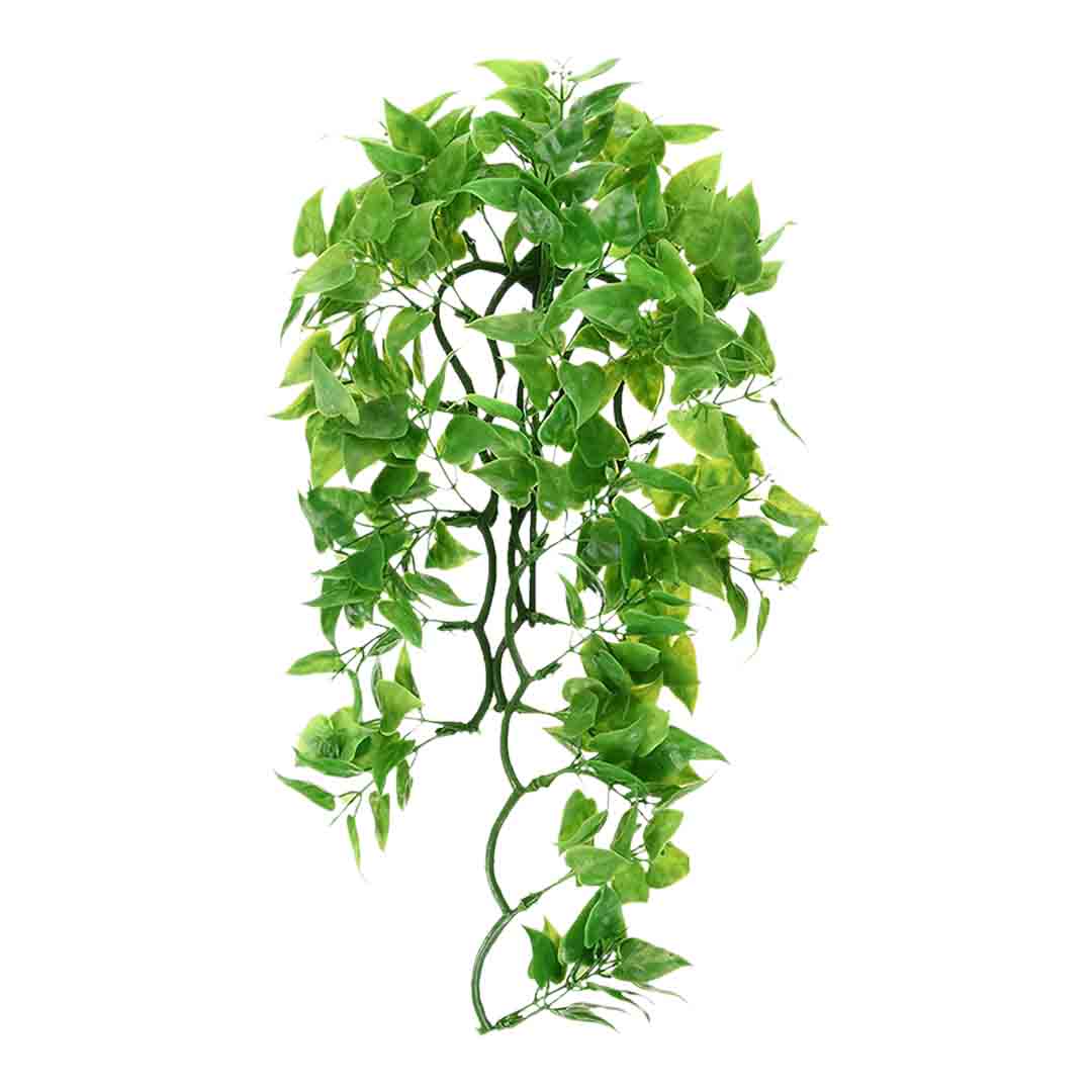 Zoo Med Mexican Phyllo Plant Reptile Terrarium Decor