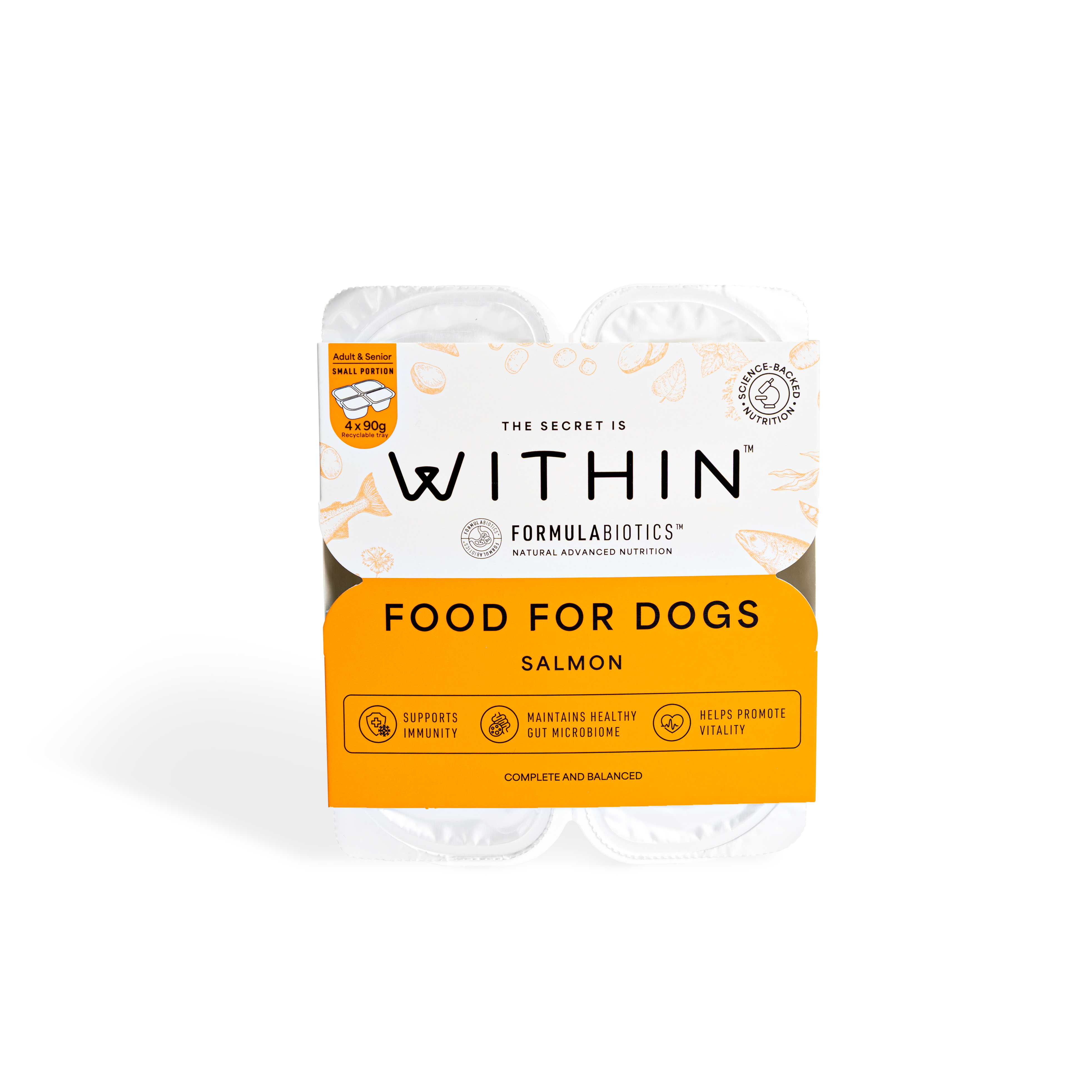 Within Grain Free Complete Adult Dog Food Salmon 4x90g
