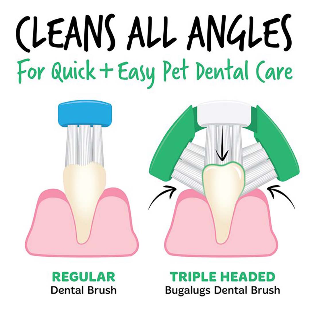 Bugalugs Dog & Cat Triple Headed Toothbrush 2 Pack