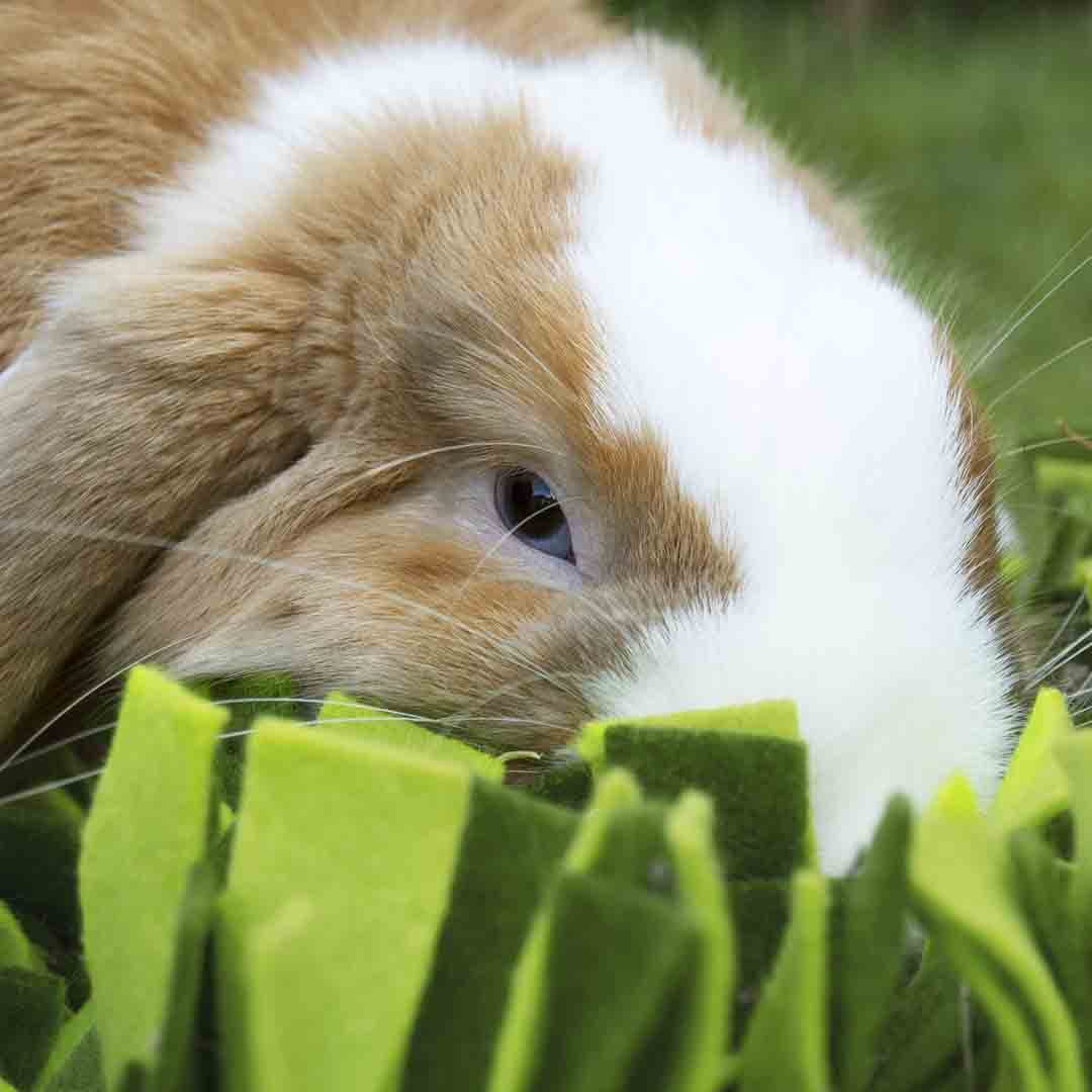 Rosewood Snuffle Forage Mat for Small Pets
