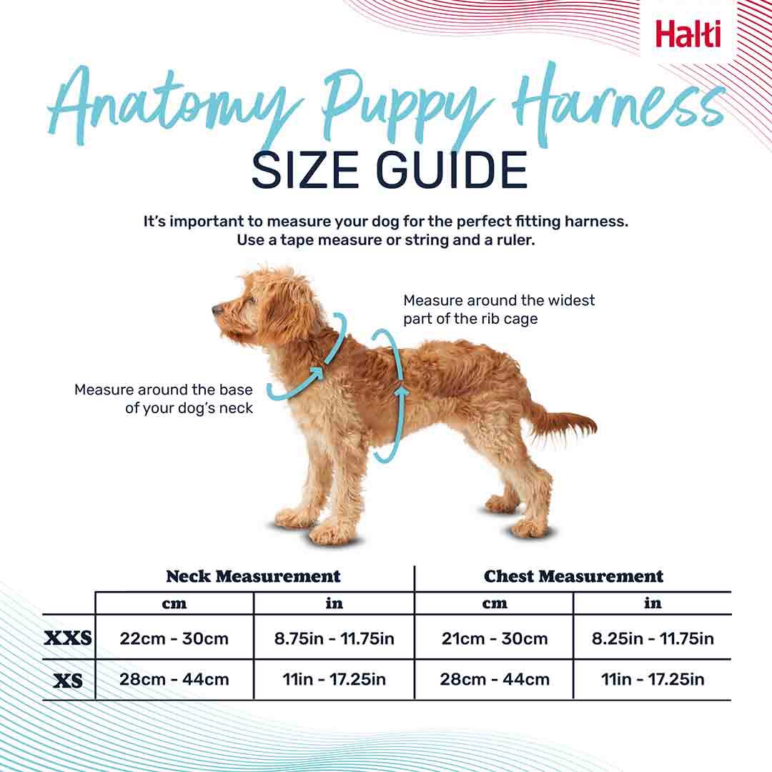 Halti Anatomy Puppy Harness Grey X-Small