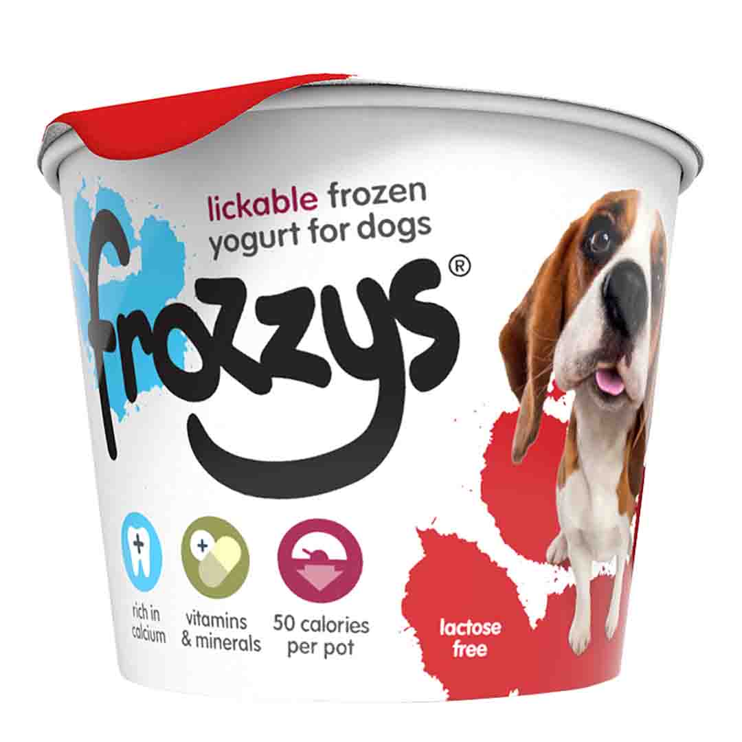 Frozzy's Strawberry Frozen Yoghurt Dog Treat, 85g