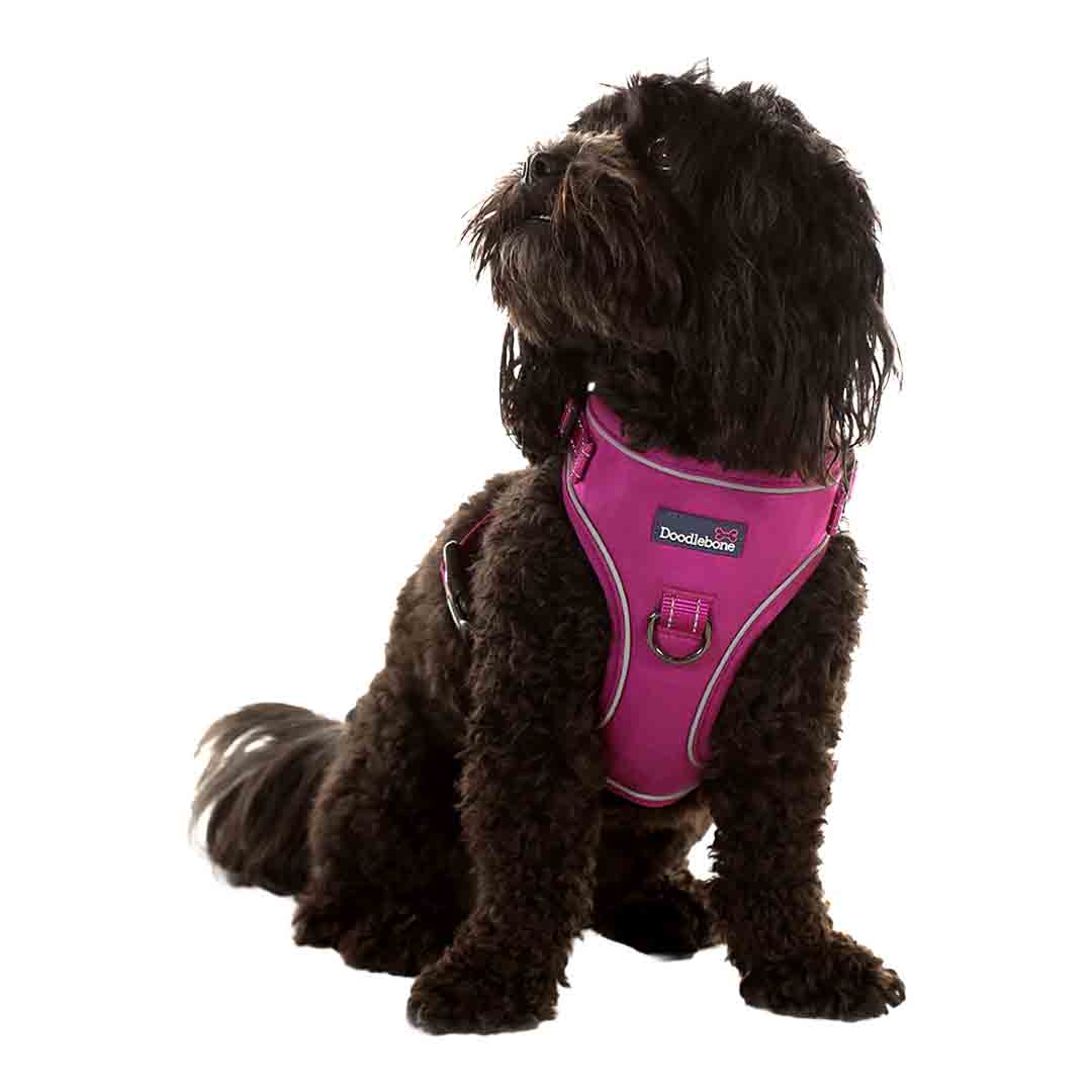 Doodlebone Trendy Tails Stomp Dog Harness Purple 2-3