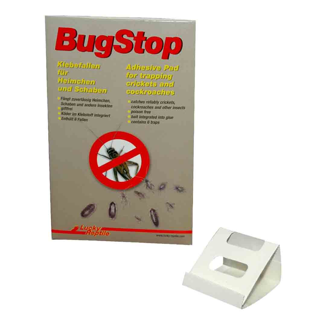 Lucky Reptile Bugstop Cricket Trap