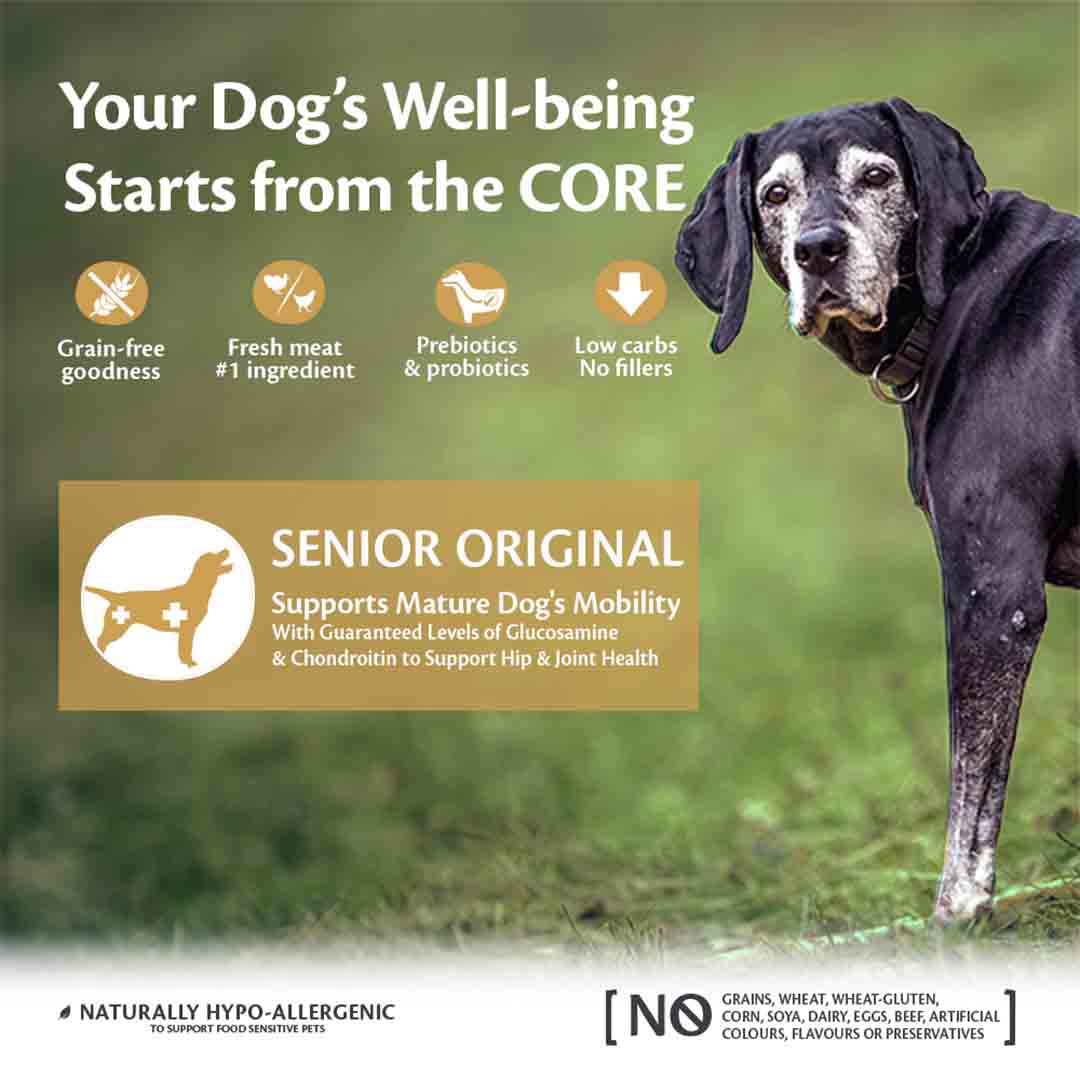 Wellness CORE Dry Senior Dog Food Original Turkey with Chicken Recipe 10kg