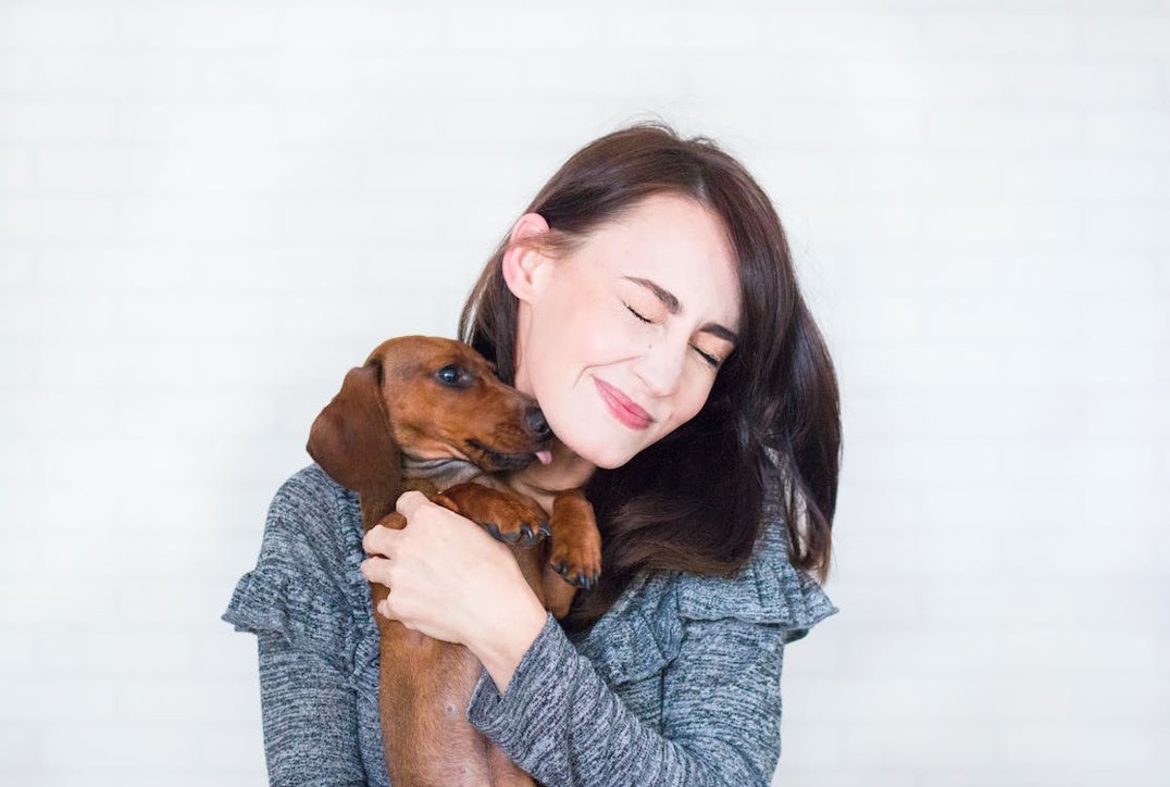 How to Bond With Your Dog