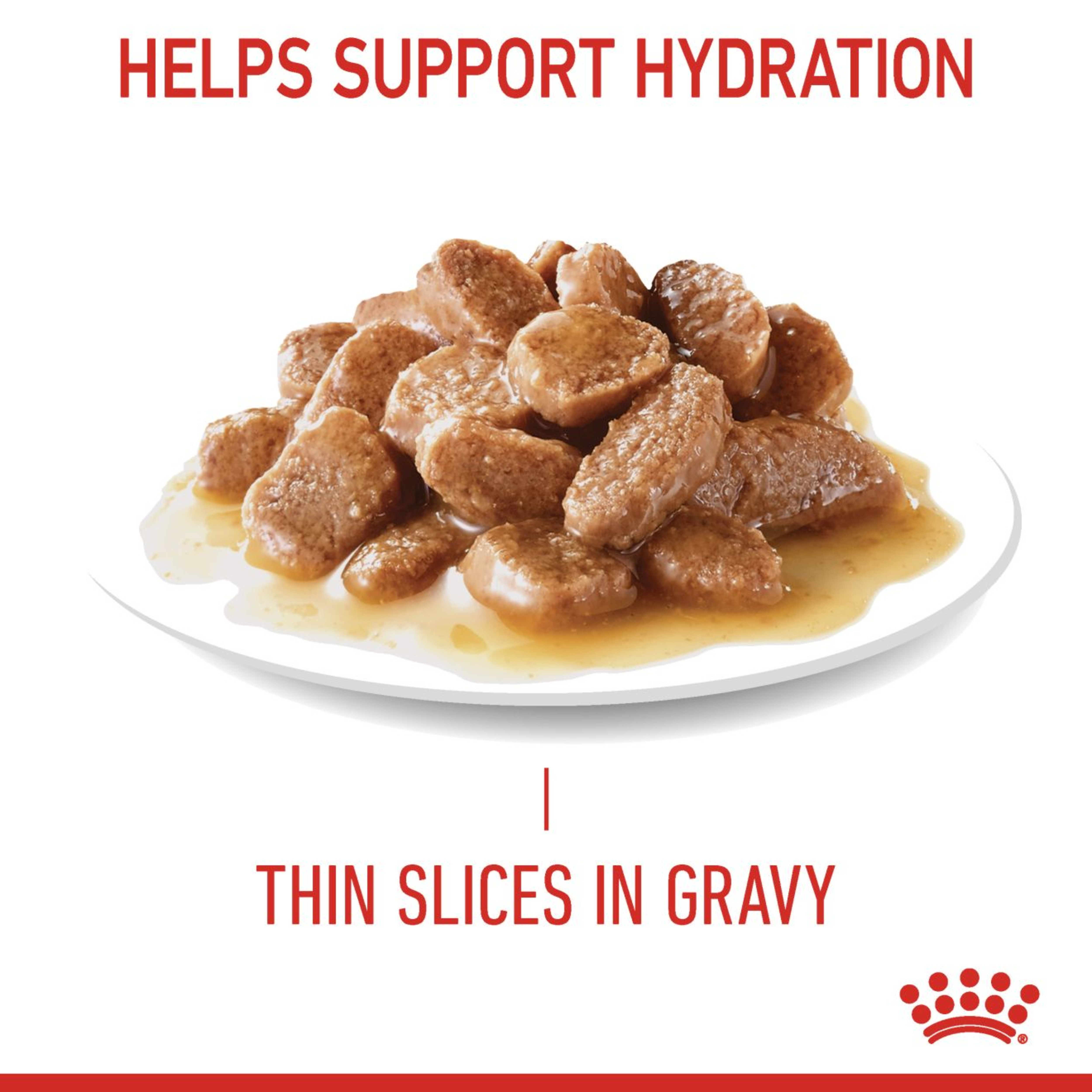 Royal Canin Digestive Care Wet Cat Food in Gravy 48x85g