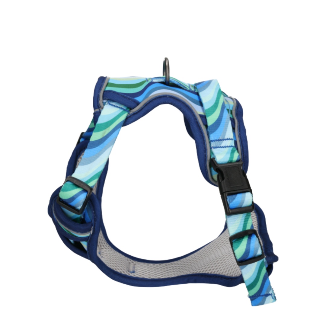 Rufus & Rosie Dog Harness & Lead Set Blue Wave, Large