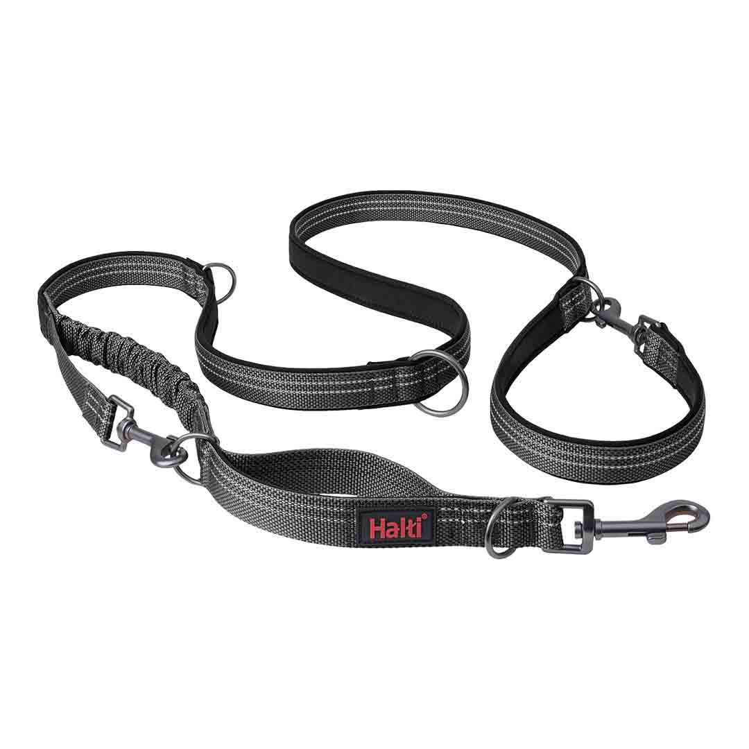 Halti Anatomy Multi Use Dog Lead in Grey, Small