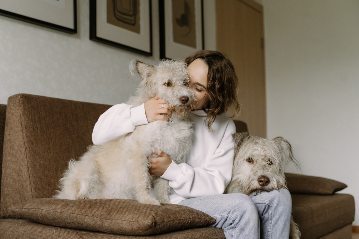 Woman sat on sofa with two dogs.