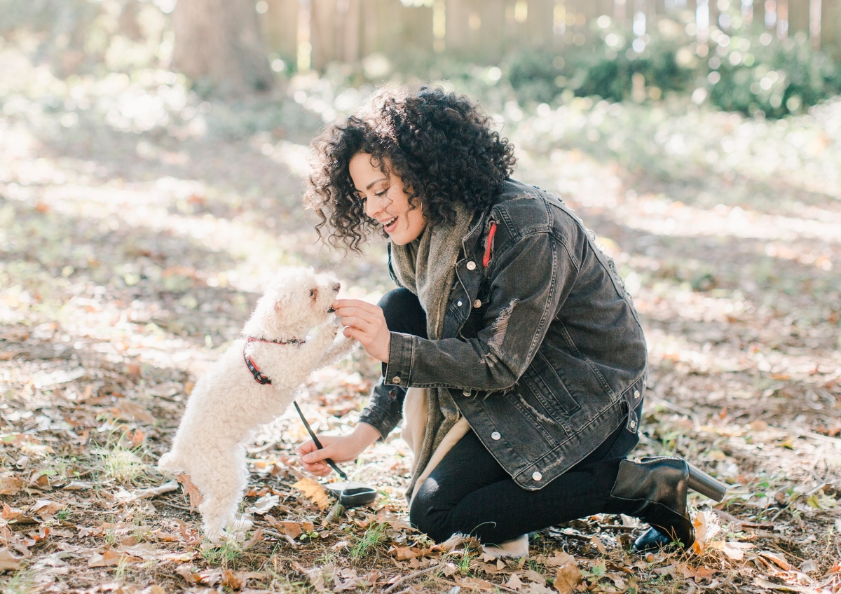 The Best Puppy Training Treats for Your Dog