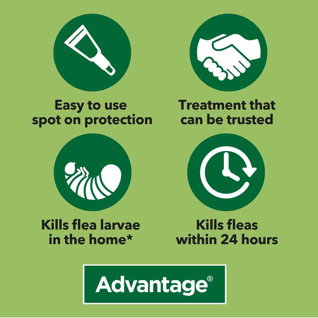 Advantage Spot-On 100 Flea Treatment For Small Dogs 4-10kg,  4 Pipettes