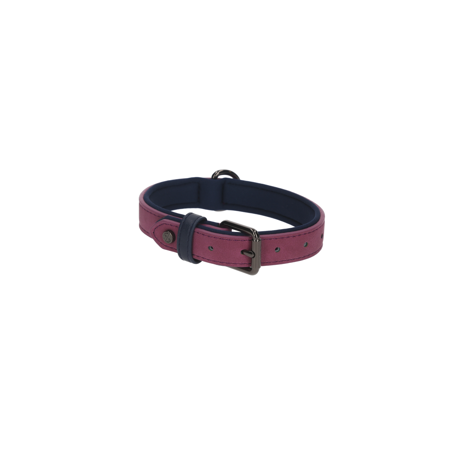 Rufus & Rosie Brights Tech Dog Collar, Large, Purple