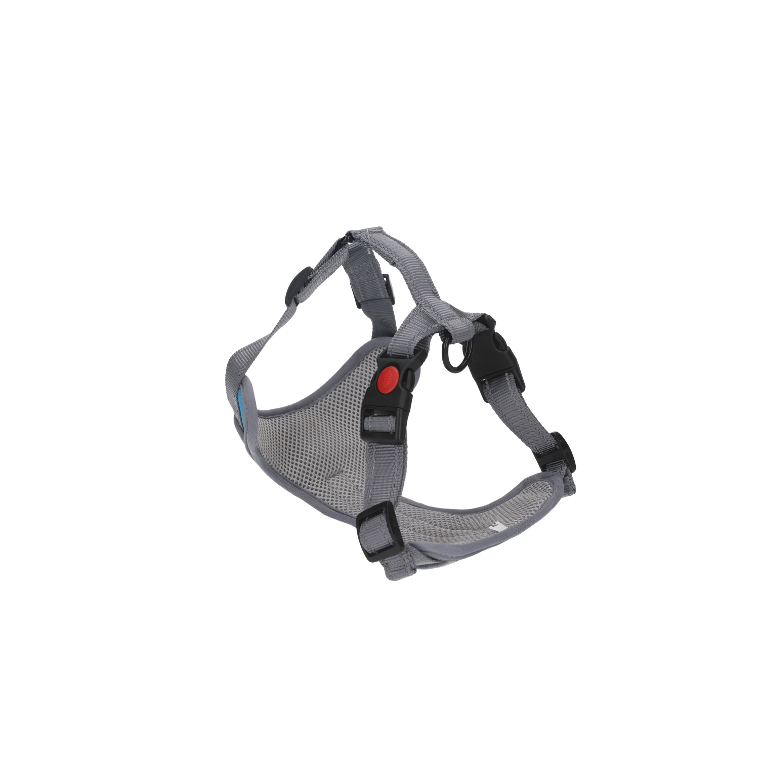 Rufus & Rosie Baby Blue Chest Plate Dog Harness, Extra Large