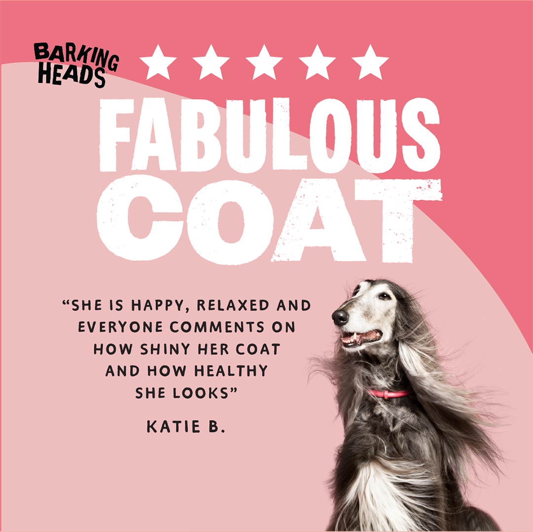 Barking Heads All Hounder Hair Necessities Salmon Dry Dog Food, 12kg