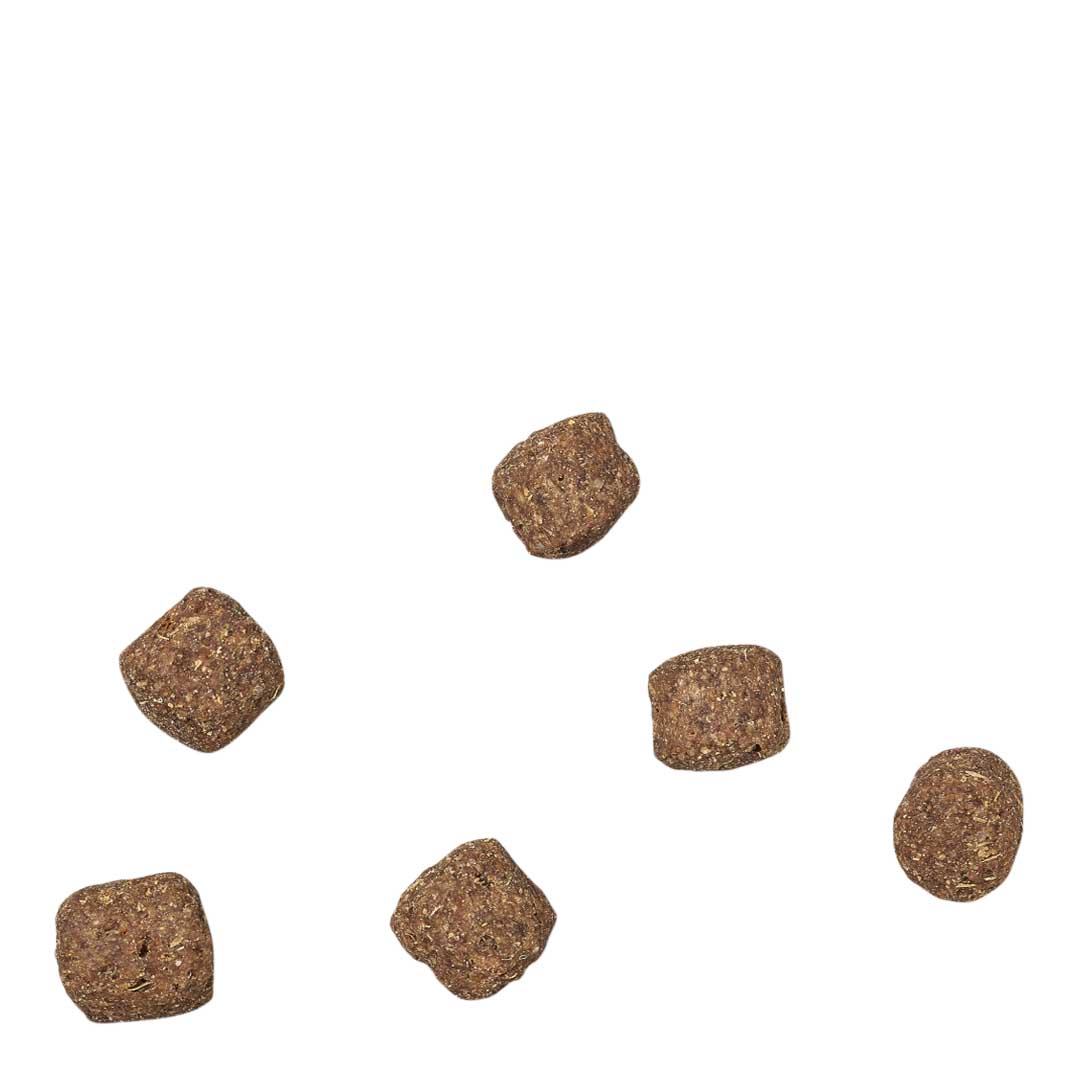 James Wellbeloved Dog Adult Lamb & Rice Dry Dog Food, 15kg
