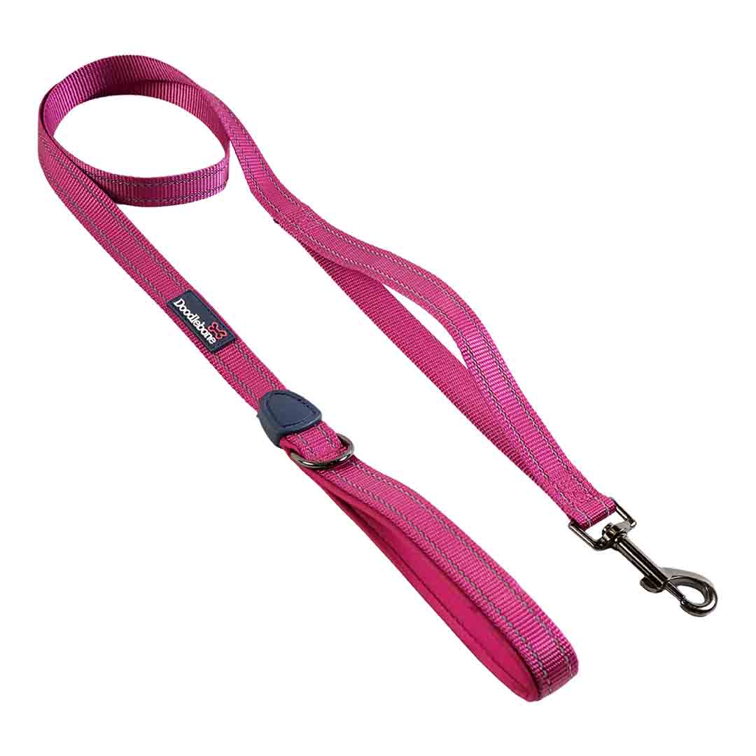 Doodlebone Trendy Tails Control Dog Lead Purple 15mm