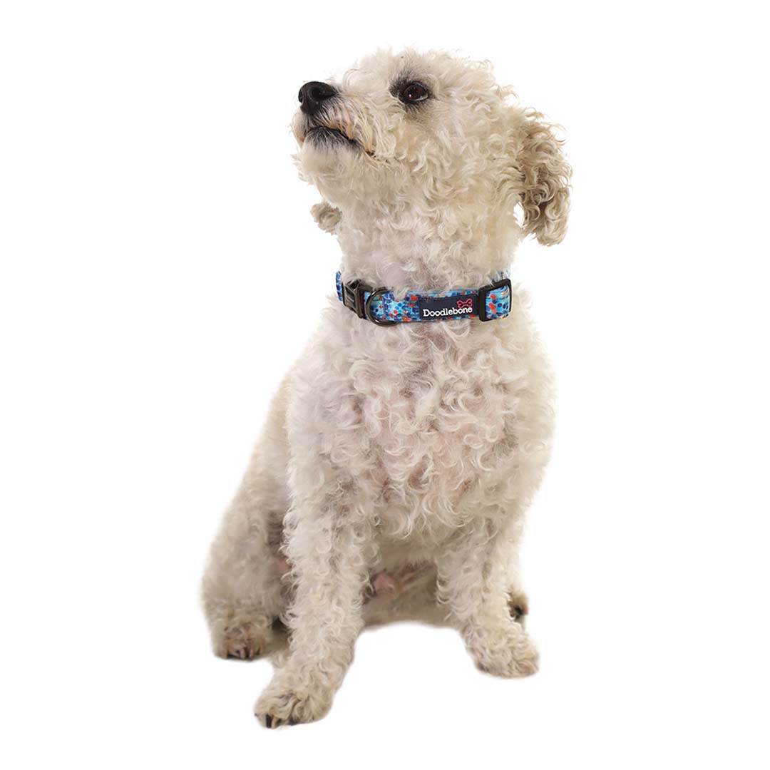 Doodlebone Trendy Tails Padded Dog Collar Blue 6-11