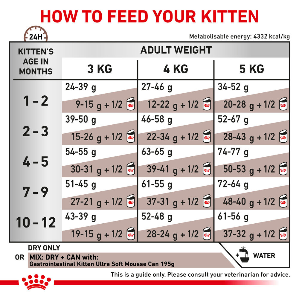 Royal Canin Gastrointestinal Kitten Dry Food 400g