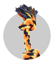 Dog Toys
