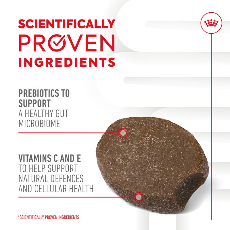 Royal Canin Puppy Supplement for Immunity & Digestion Soft Chews