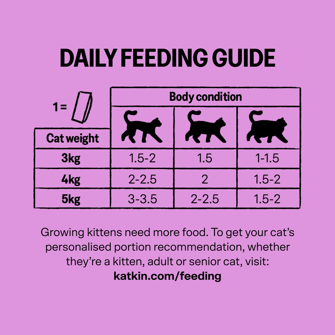 KatKin OINK Fresh Cat and Kitten Food (Pork) 1x80g