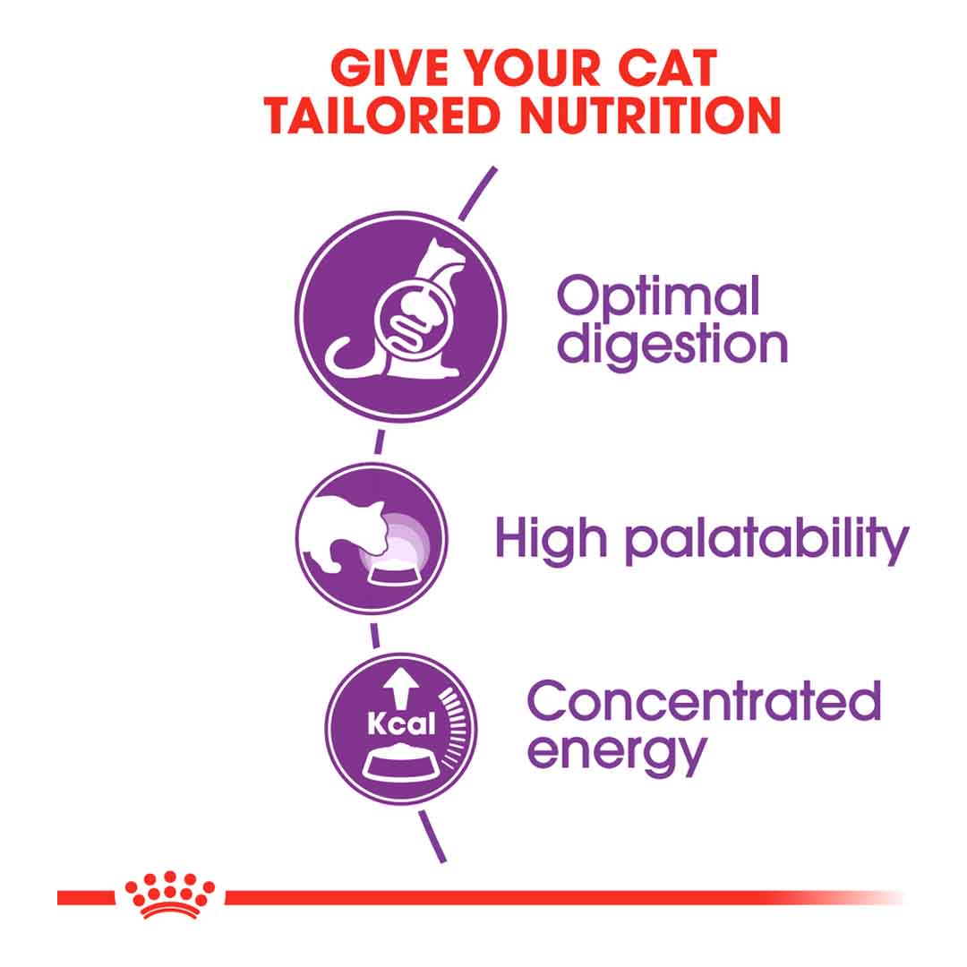 Royal Canin Sensible 33 Dry Cat Food, 2kg