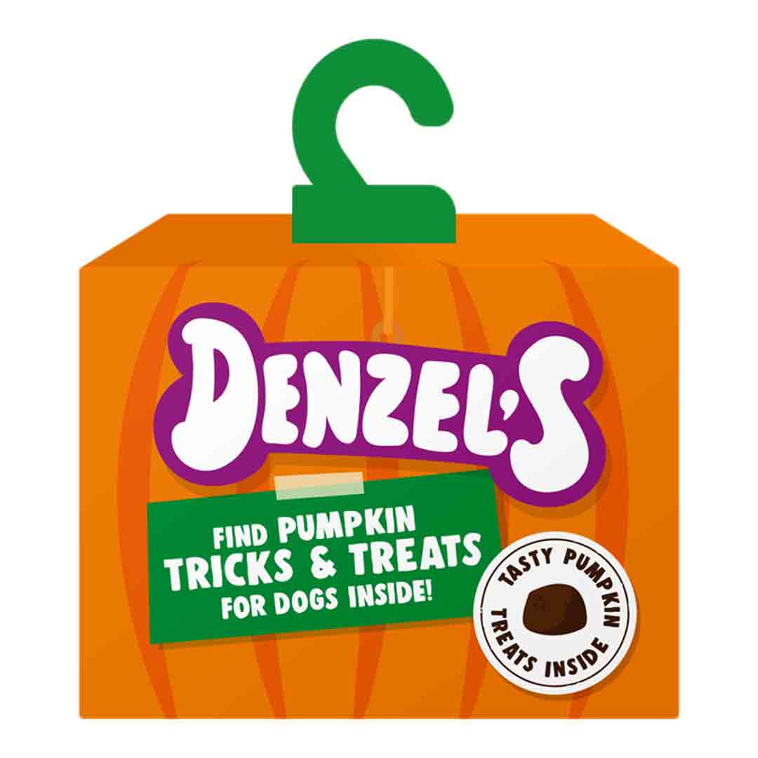 Denzels Pumpkin Tricks & Treats Jack O Lantern for Dogs, 50g