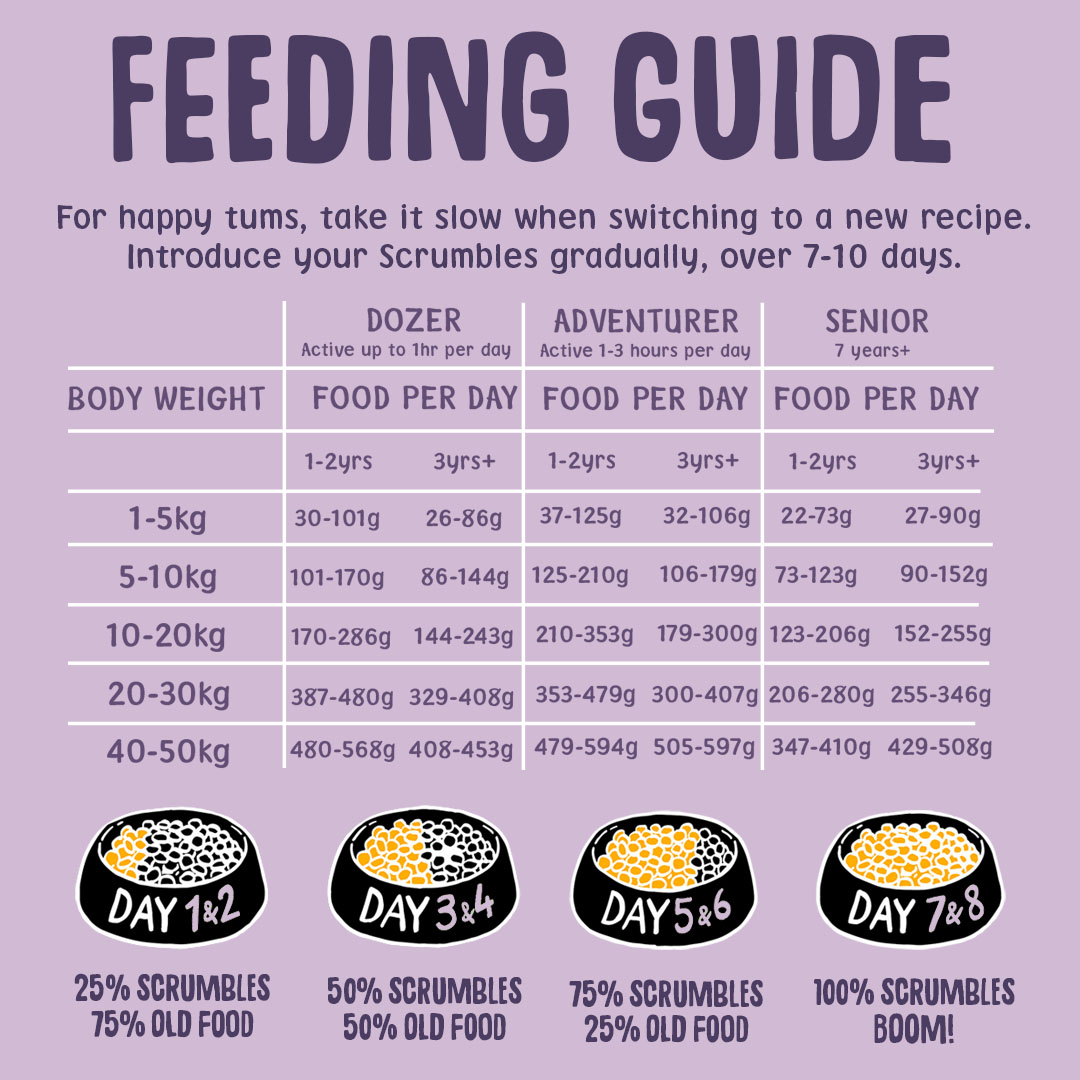 Scrumbles Dry Dog Food for Adult & Seniors Turkey 2kg