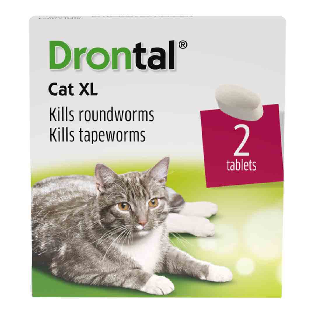 Drontal Wormer XL Tablets for Large Cats (Over 4kg), 2 Pack